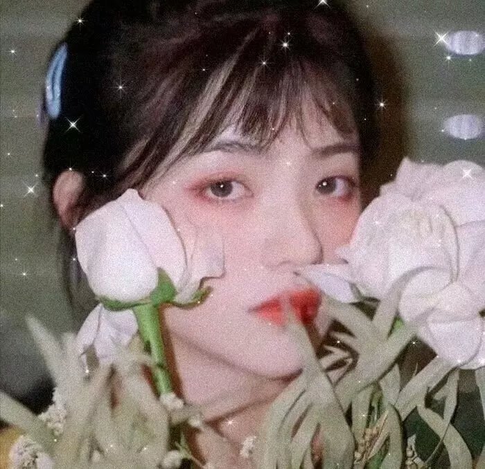 多情的野猫